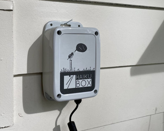Haikubox as in Axios Tampa Bay