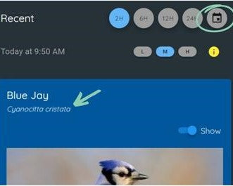 Where to find the calendar on Haikubox app