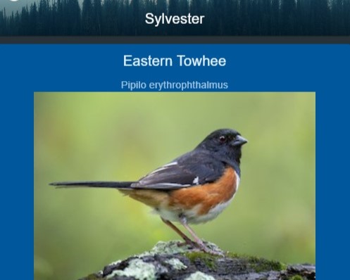 Image of shareable webview