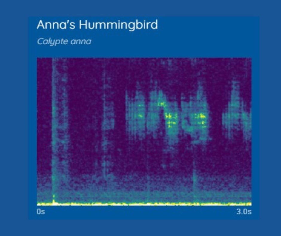 Haikubox + 1-year subscription