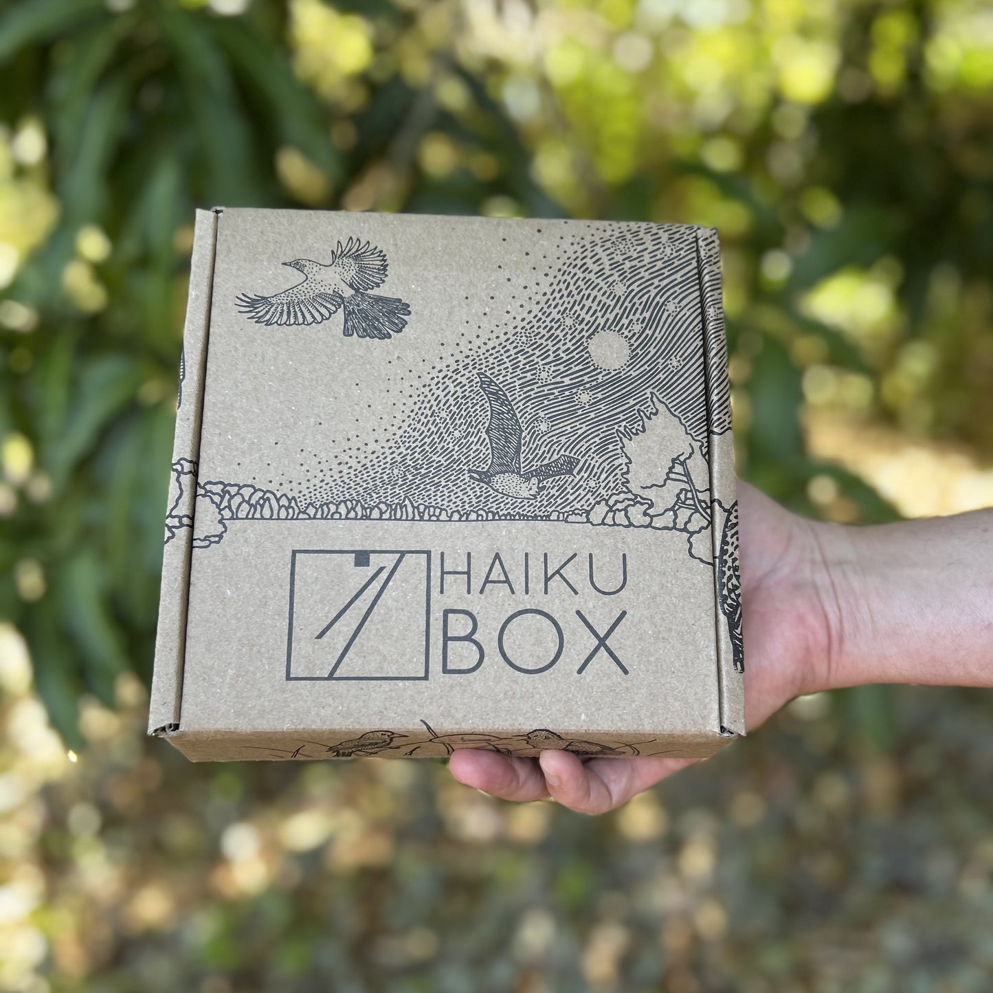 Haikubox 24/7 Bird & Bat Identifier