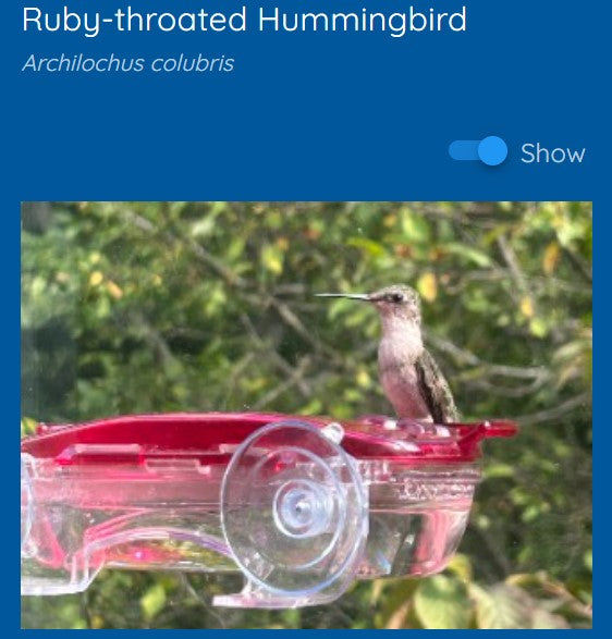 Haikubox + 1-year subscription