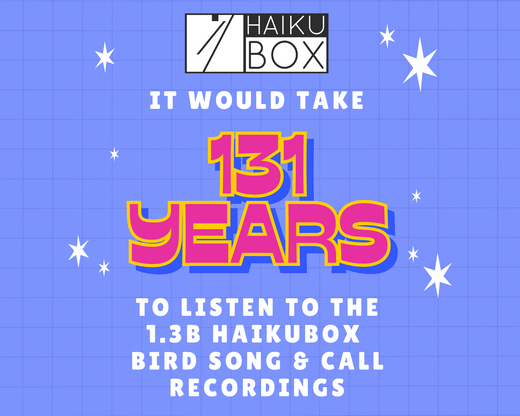 It would take 131 years to listen to the 1.3B Haikubox bird song & call recordings