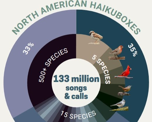133 million birds identified by Haikuboxes in first half of 023