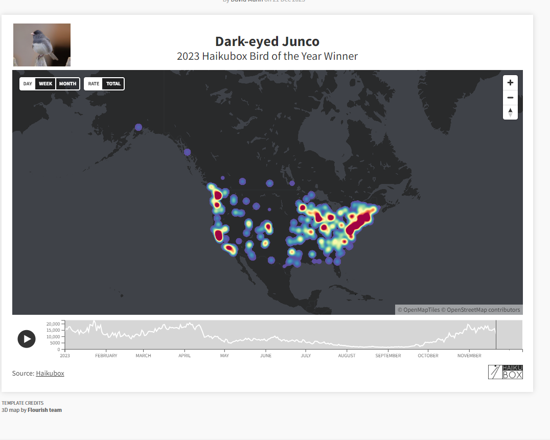 Heat map of Dark-eyed Junco, 2023 Haikubox Bird of the Year