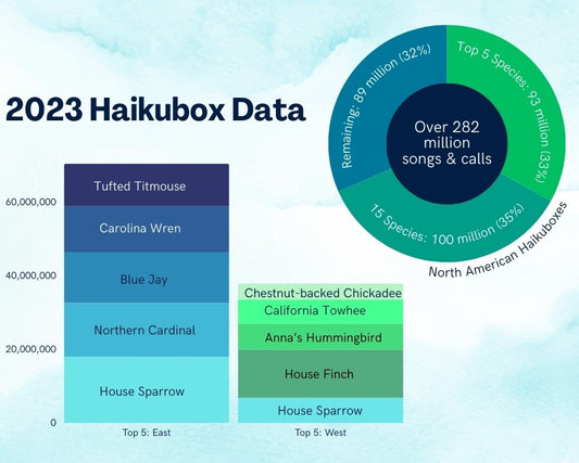 Infographic of 2023 Haikubox Data