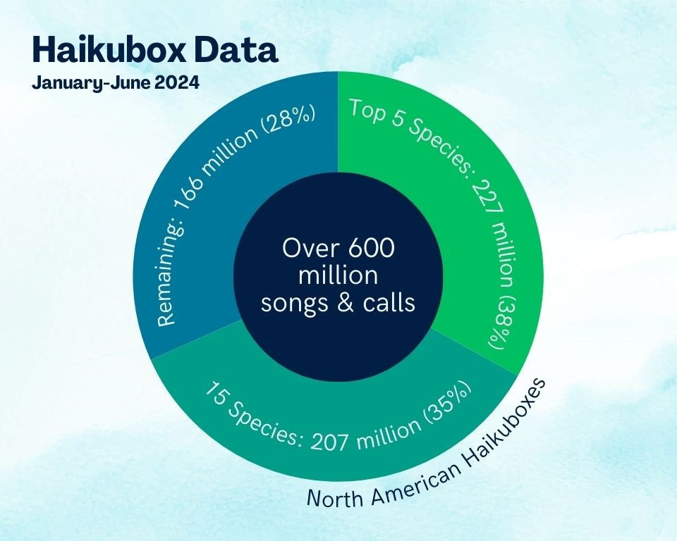 Graphic of 600 million Haikubox recordings in 2024 so far