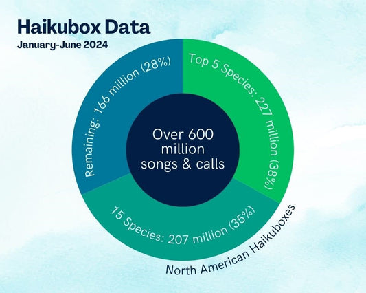 Graphic of 600 million Haikubox recordings in 2024 so far