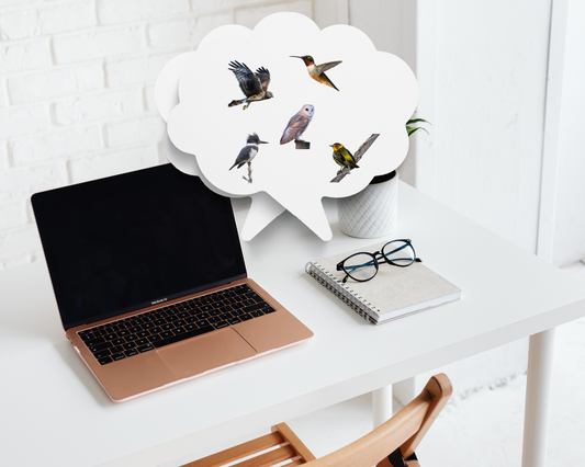 Birding life list in a notebook or computer