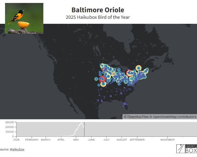 2025 Haikubox Bird of the Year - visualization of Baltimore Oriole vocalizations