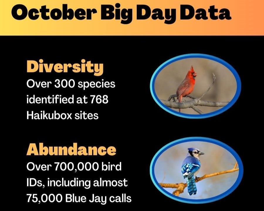 Haikubox October Big Day