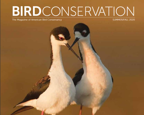 Cover of Bird Conservation