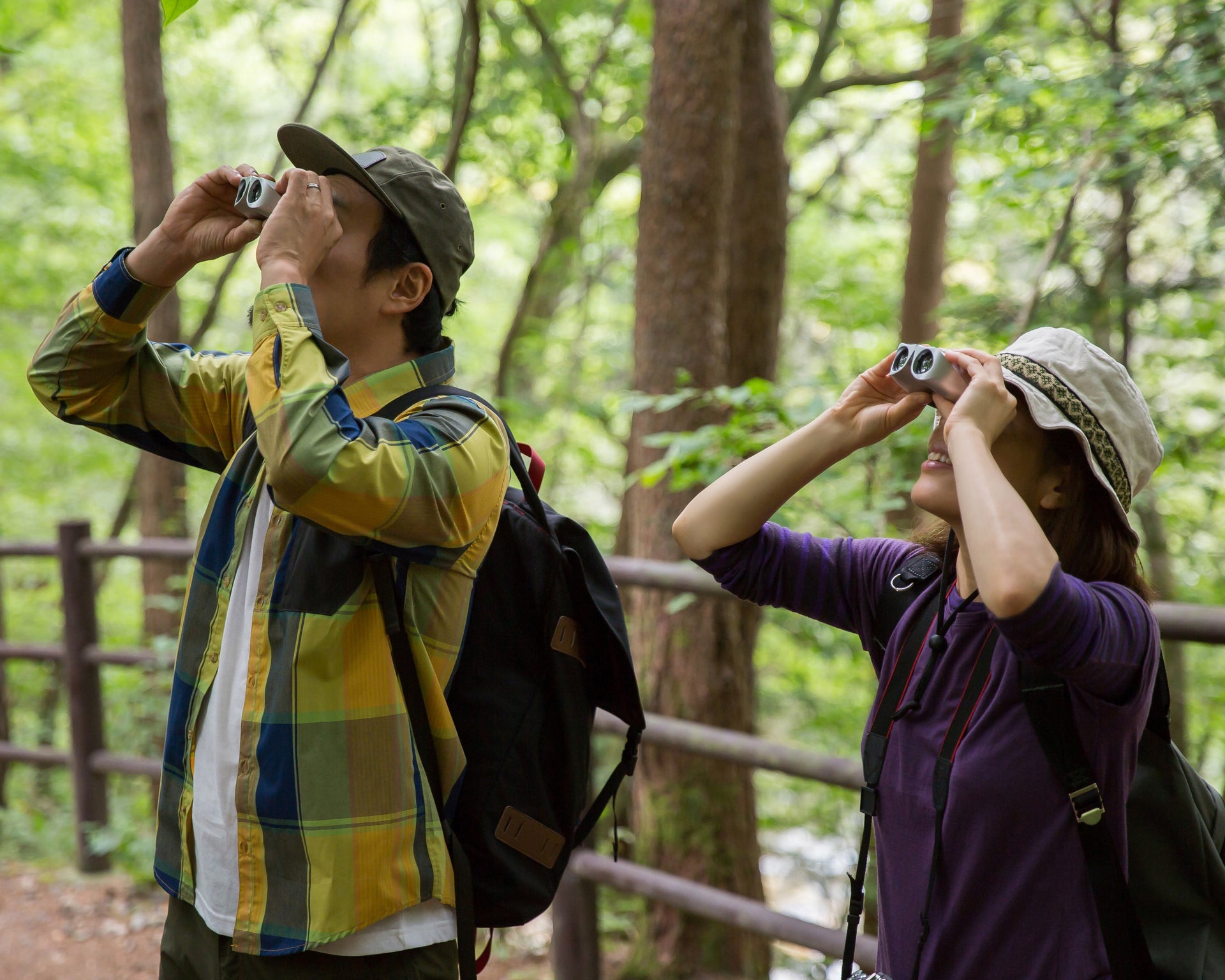 Birdwatchers