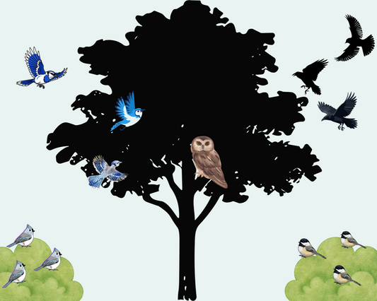 Graphic depicting birds mobbing an owl