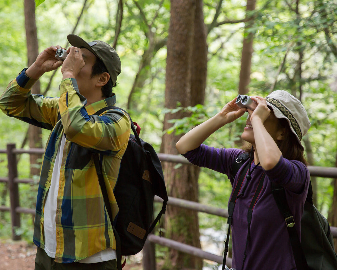 Birding trip during a birding festival