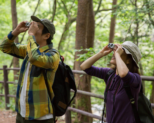 Birding trip during a birding festival