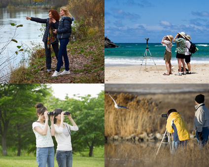 Birdwatchers in a variety of locations