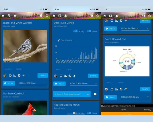 Screenshots of the Haikubox app