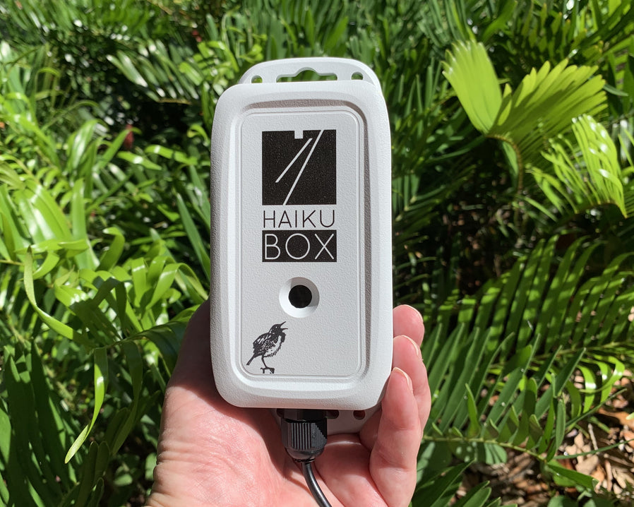 Haikubox with Annual Membership