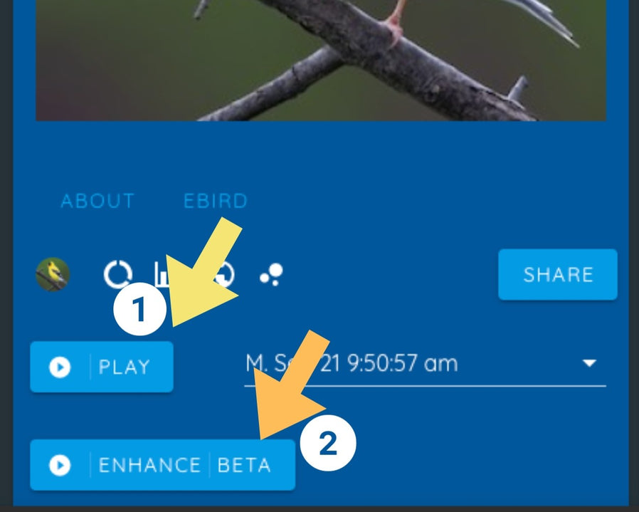 Image showing location of enhanced audio button on Haikubox app
