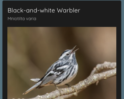 Bird image from Favorites page