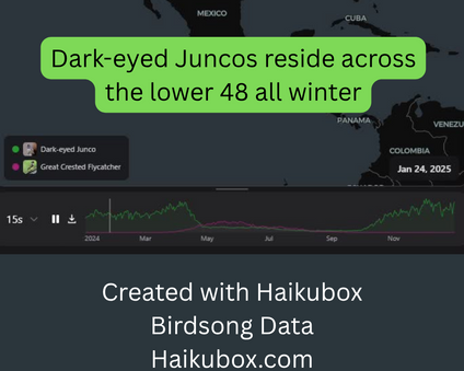 Image from the animated map of Dark-eyed Junco and Great-crested Flycatcher migration using Haikubox data