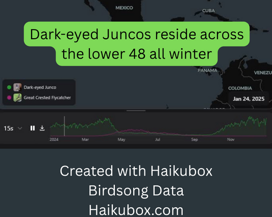 Image from the animated map of Dark-eyed Junco and Great-crested Flycatcher migration using Haikubox data