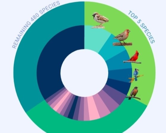 Infographic of 23 million birds identified by Haikuboxes