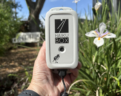 Image of Haikubox with spring flowers