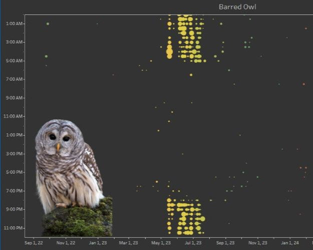Your Bioacoustic Data