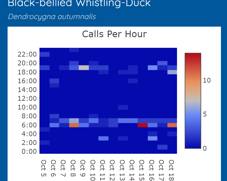 Black-bellied Whistling-Duck identifications by Haikubox