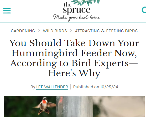 The Spruce - When to take down hummingbird feeders