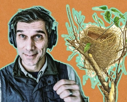 Science of Birds podcast image