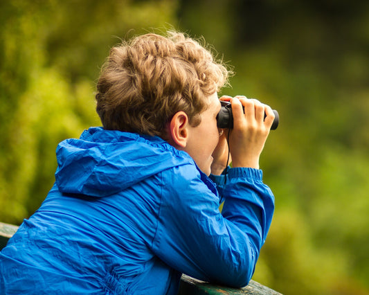 Child birdwatching with binoculars