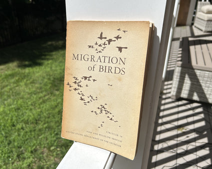 Migration of Birds manuscript 1950