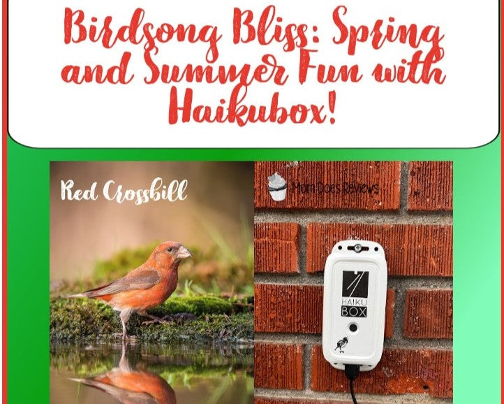Spring & Summer Gifts