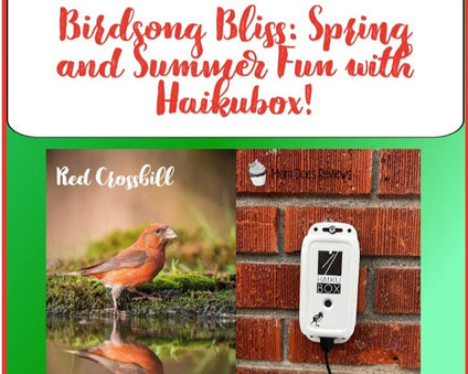 Spring & Summer Gifts