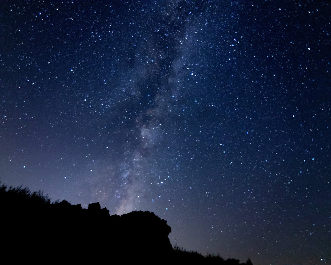 Nocturnal Migration