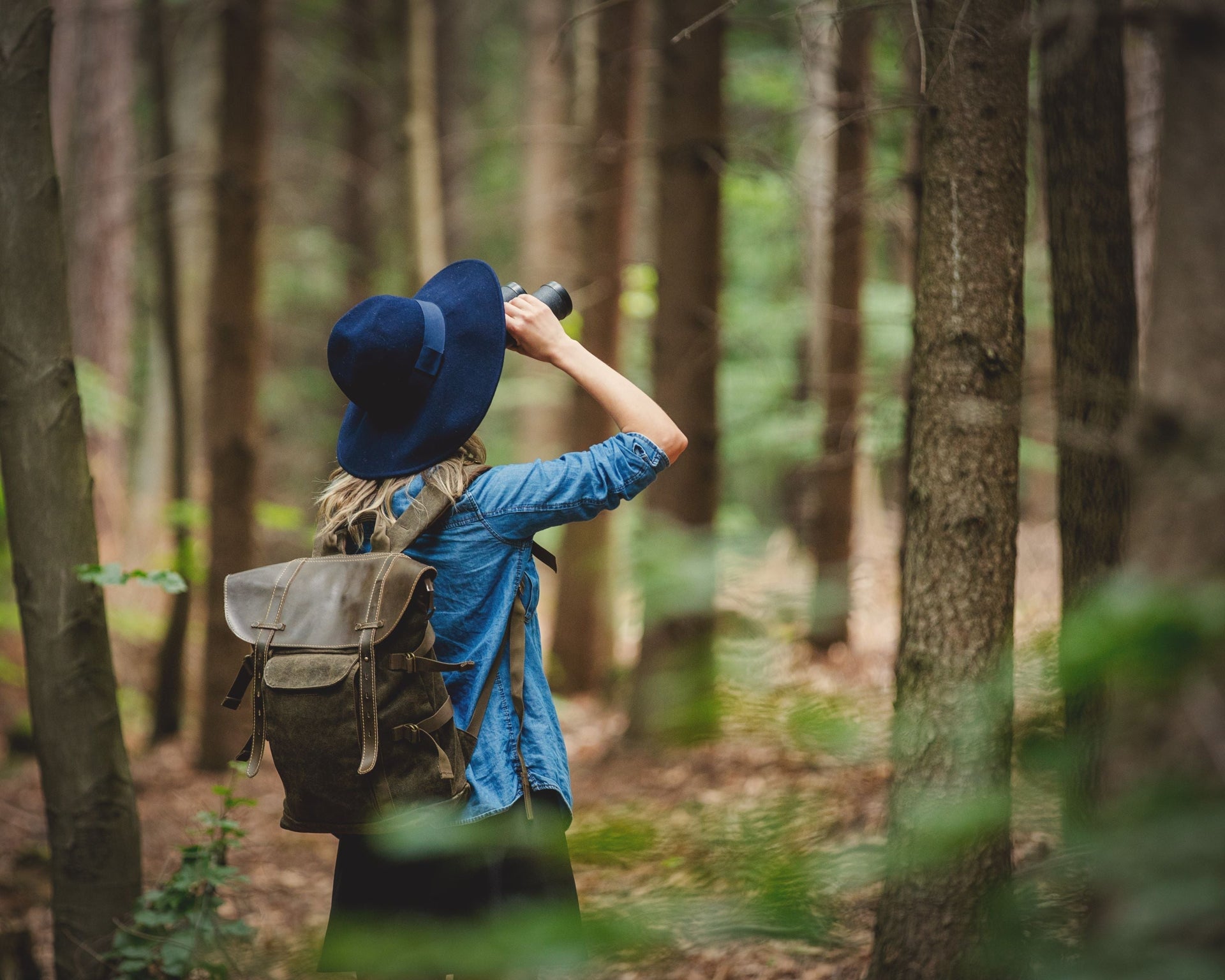 Birdwatcher in the forest