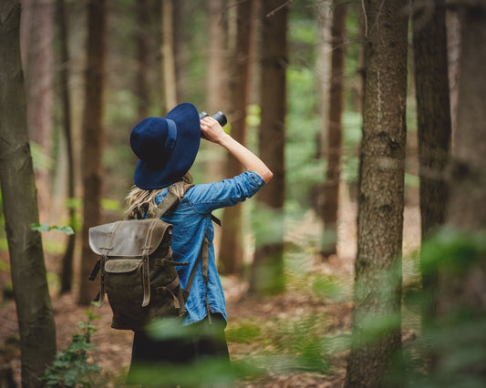 Birdwatcher in the forest
