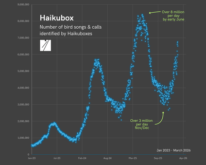 Graph showing Haikubox identifications and peak bird activity 2023-26