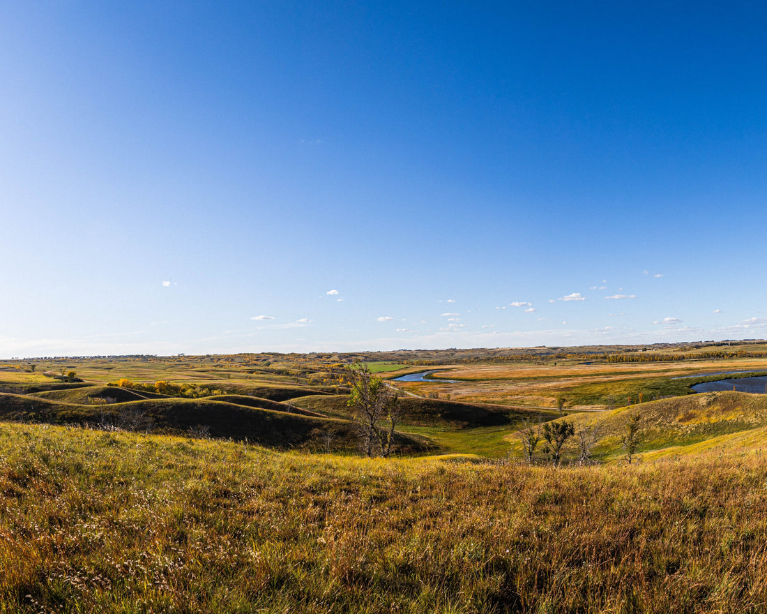 Image of a prairie grassland landscape
