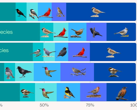 Infographic of site-specific birds