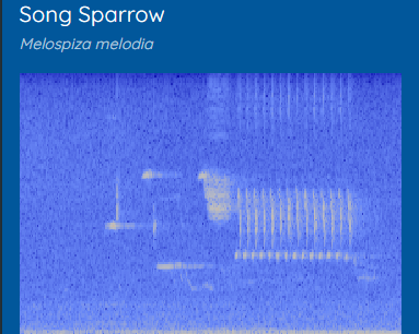 Unlocking the Mystery of Spectrograms