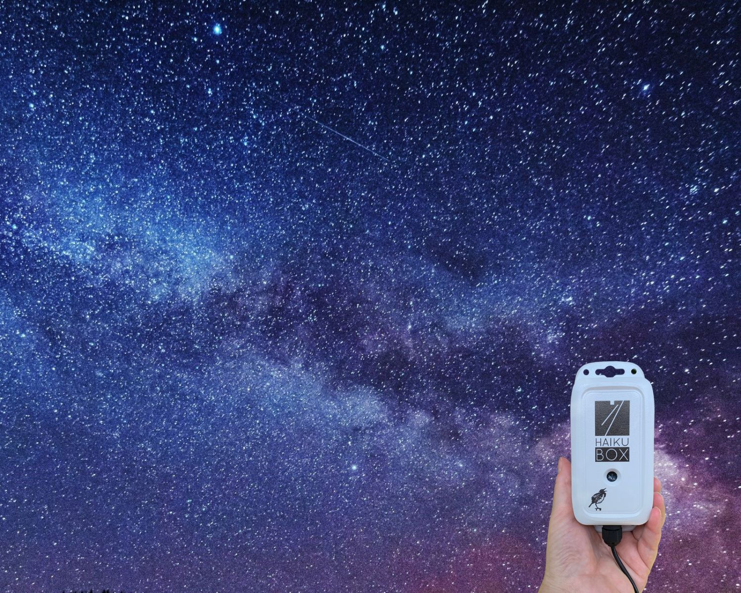 Migration Stream – Haikubox