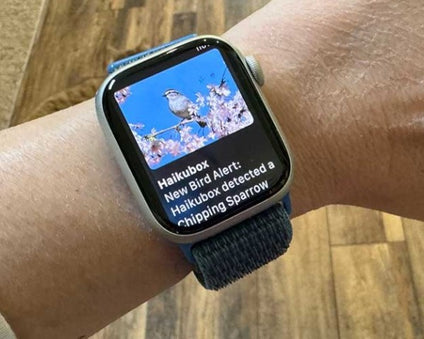 Smartwatch Haikubox alert