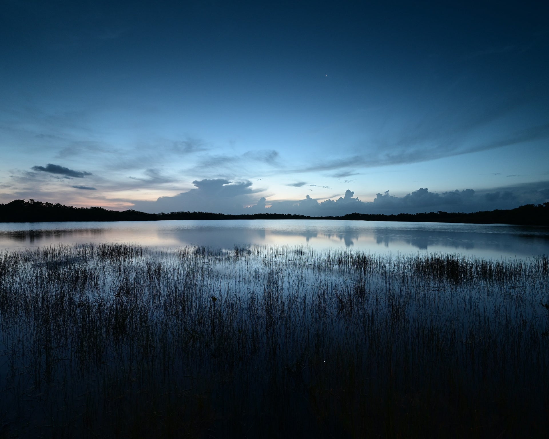 Florida wetland