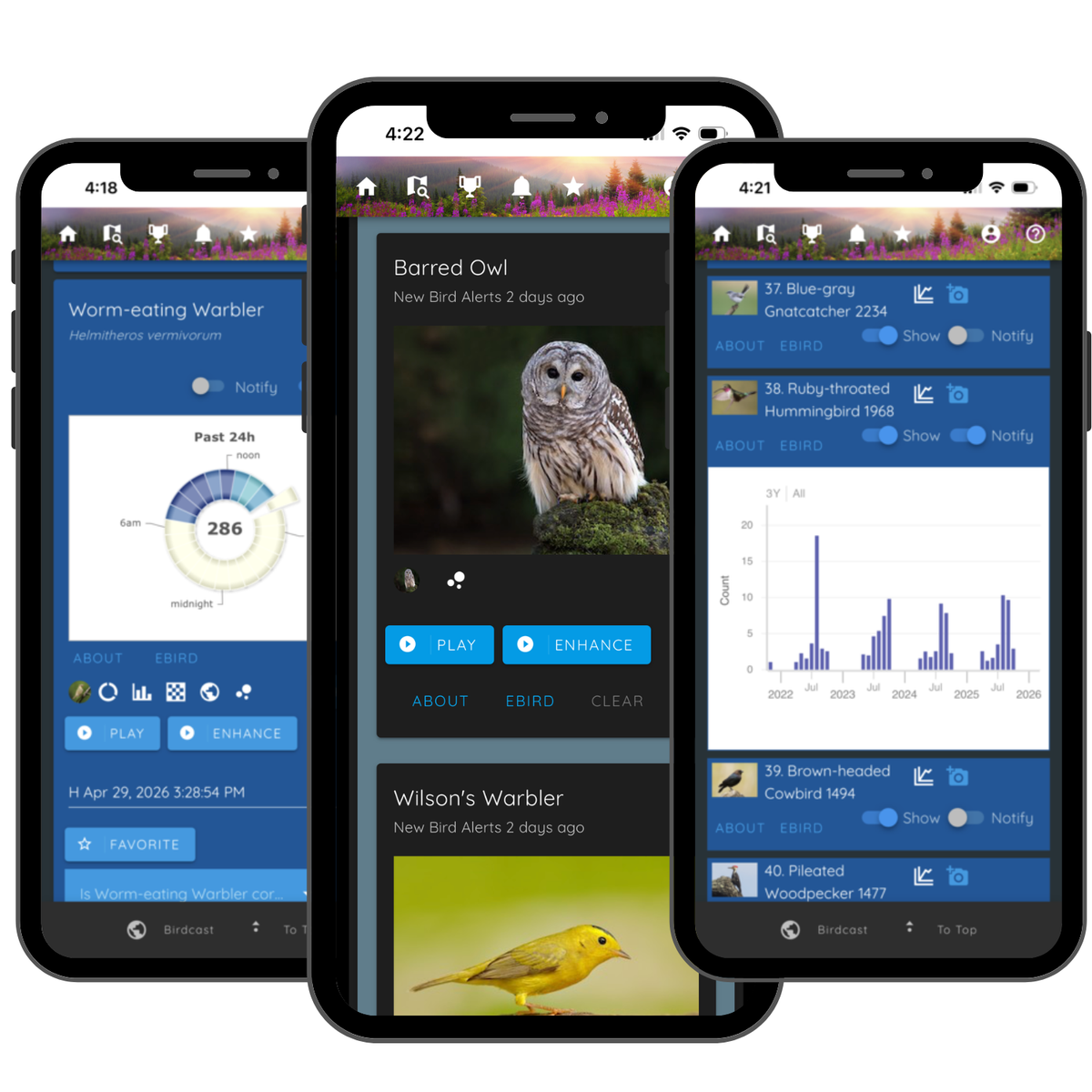 Identifier Box Haikubox | Bird Call Identifier & Bird Song Recognition