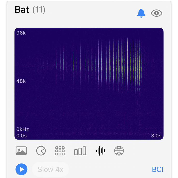Haikubox 24/7 Bird & Bat Identifier