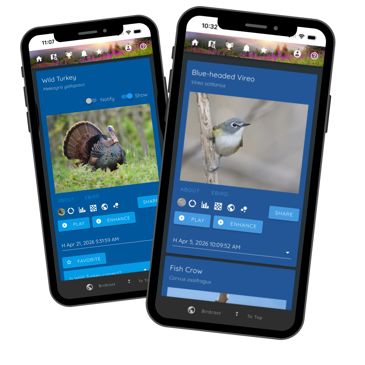 Haikubox: 24/7 Birdsong Identifier